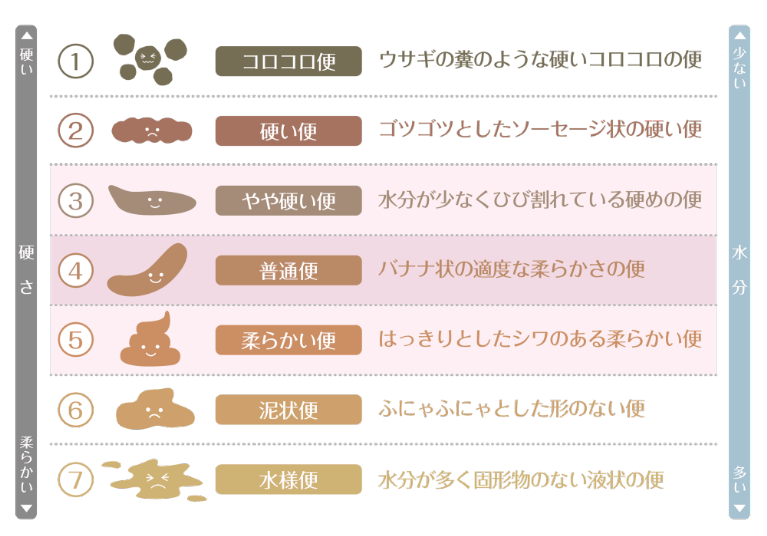 過敏性腸症候群の種類と症状